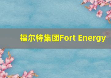 福尔特集团Fort Energy